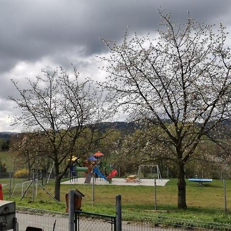 Apartman Sumava U Rybaku Volenice  Bagian luar foto