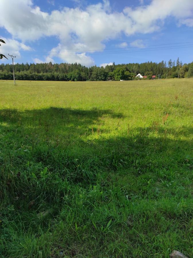 Apartman Sumava U Rybaku Volenice  Bagian luar foto