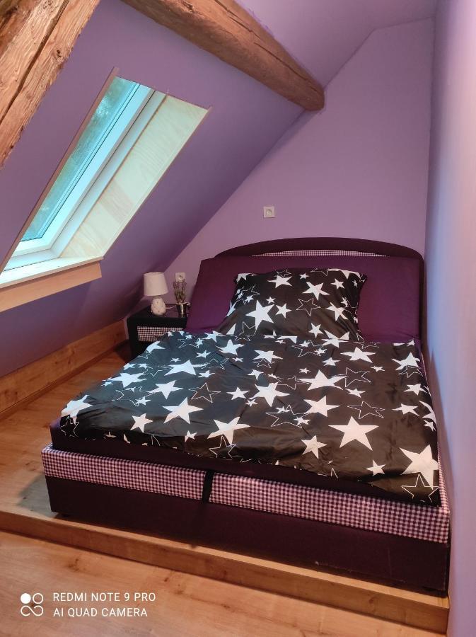 Apartman Sumava U Rybaku Volenice  Bagian luar foto