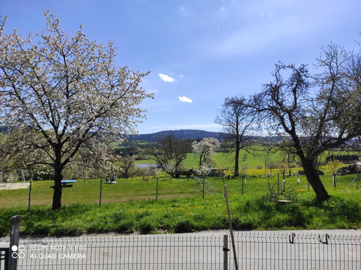 Apartman Sumava U Rybaku Volenice  Bagian luar foto