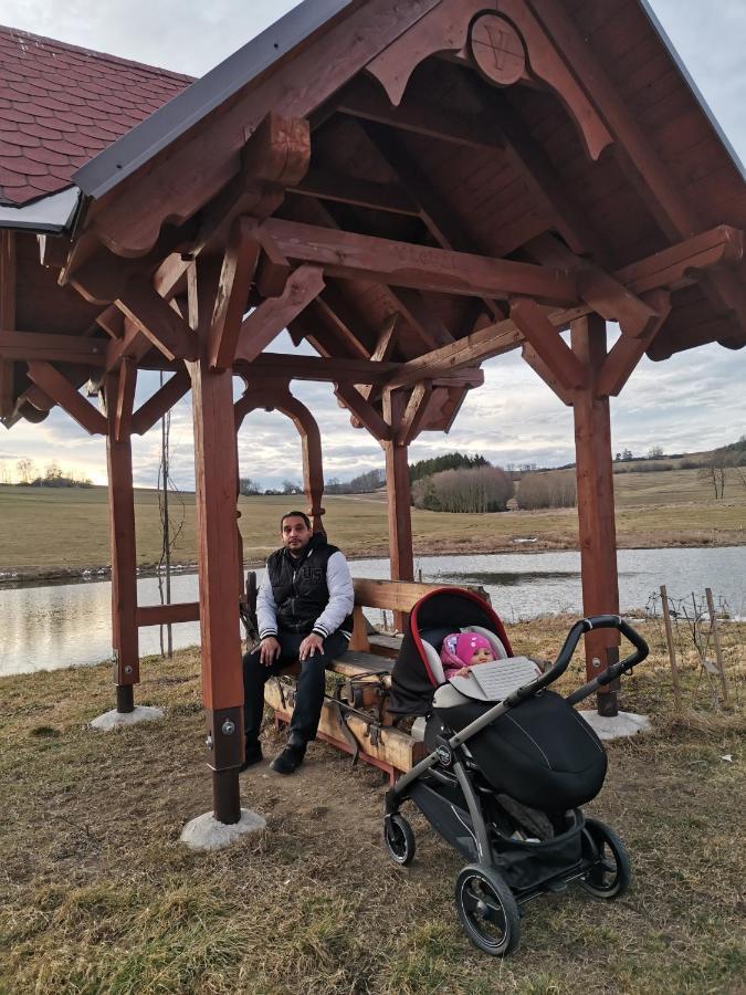 Apartman Sumava U Rybaku Volenice  Bagian luar foto
